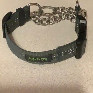 Mighty Paw Gray Dog Collar with Chain